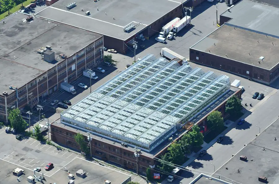 rooftop greenhouse