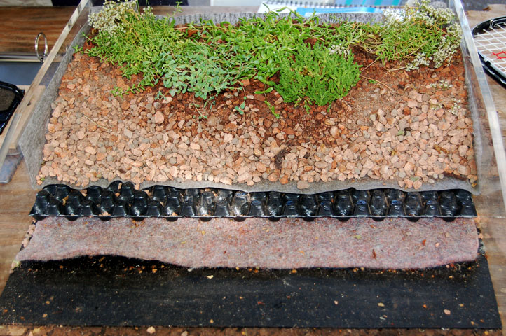 green roof layers
