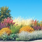 Fast-Growing Plants for Xeriscaping