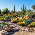 Irrigation Basics for Xeriscaping