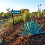 Mulching in Xeriscaping - Secrets to Achieve Stunning Results