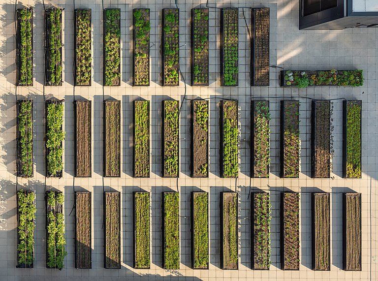 Increasing Food Production With Rooftop Farms and Gardens 