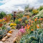 Smart Watering Techniques for Low-Water Gardens