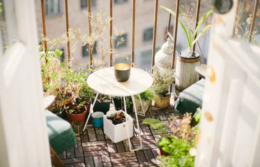 The Rise of Balcony Gardening in Cityscapes 