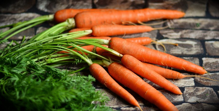 How To Grow Carrots Indoors Factors Contributing to Food Insecurity in Urban Areas