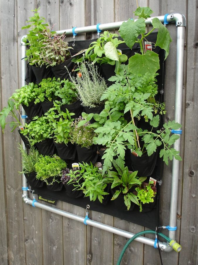 vertical herb garden