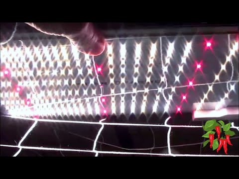 My Spider Farmer SF2000 LED Grow Light