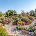 The 7 Principles of Xeriscaping